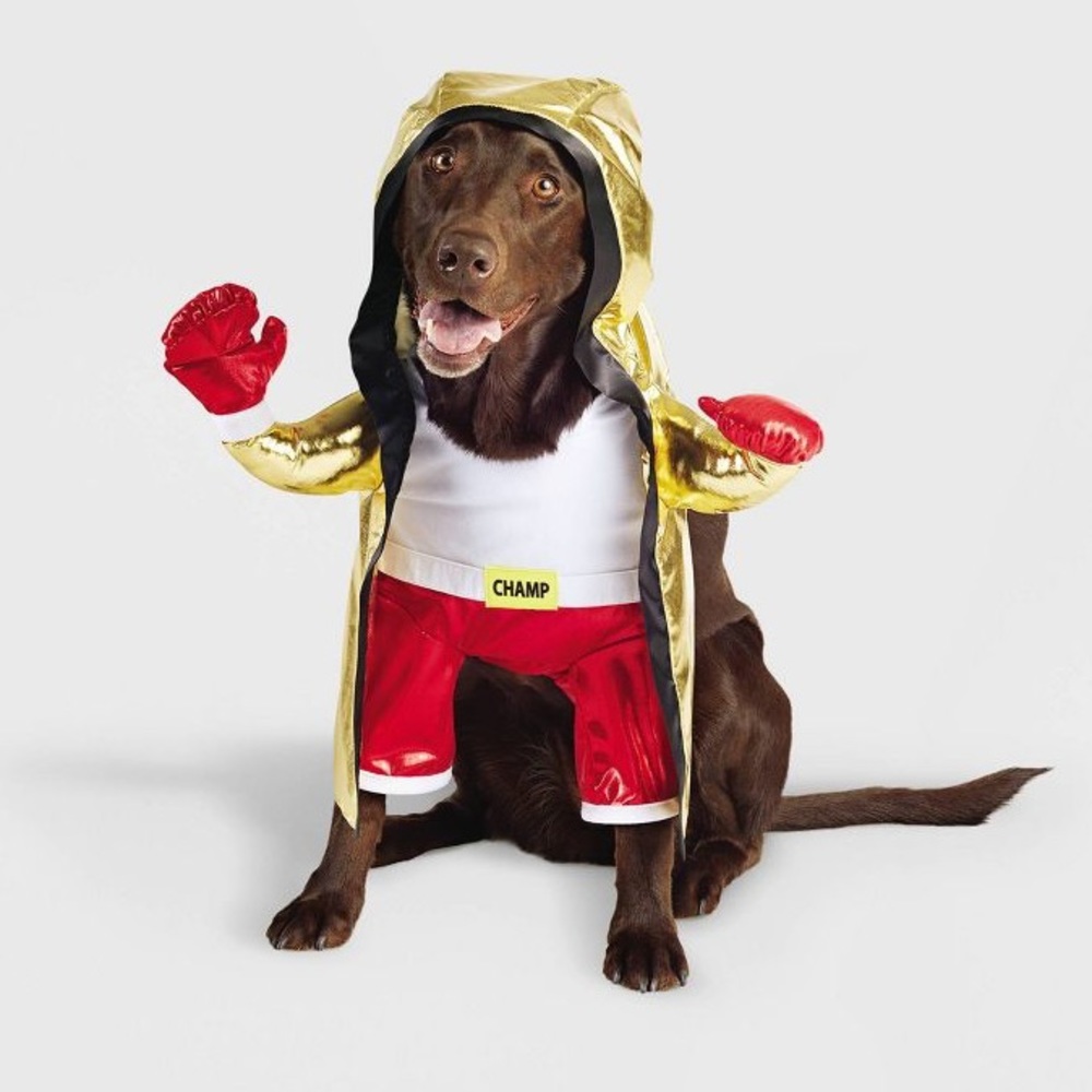 🎃 Halloween Pet Custom Boxer Champ Outfit for Dogs Hyde & EEK Boxer Outfit SMALL - Picture 2 of 12